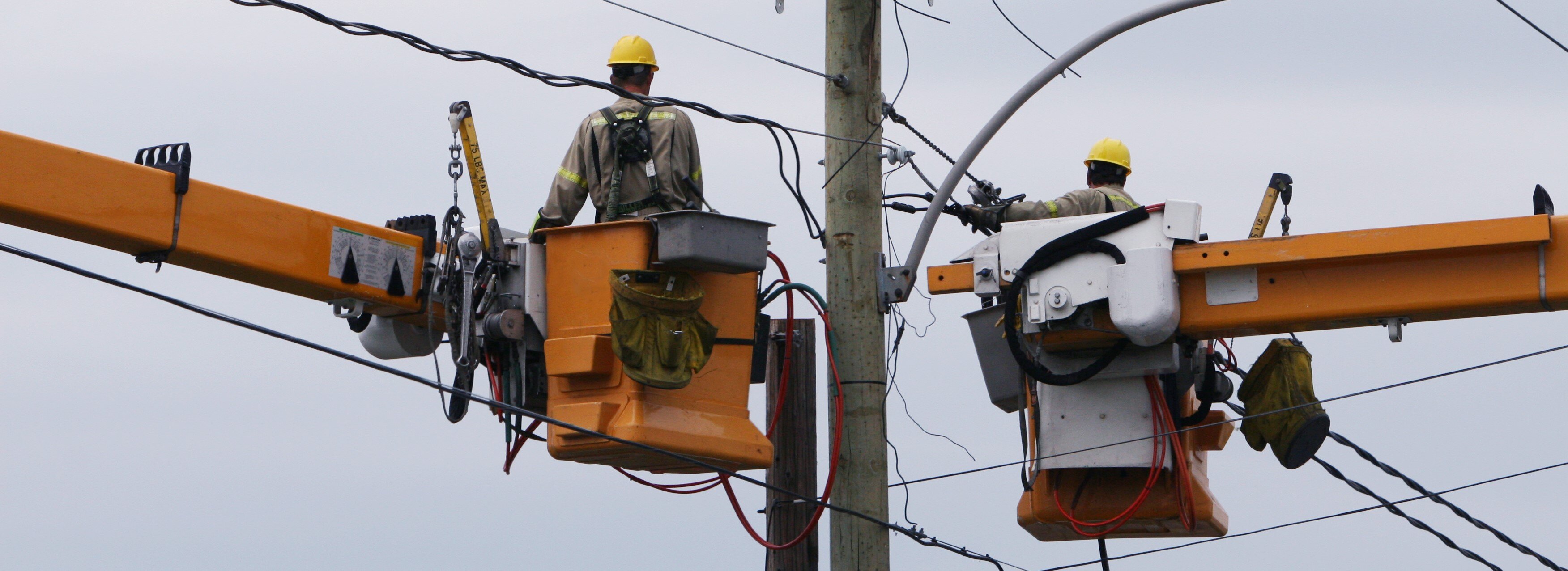 Powerline workers